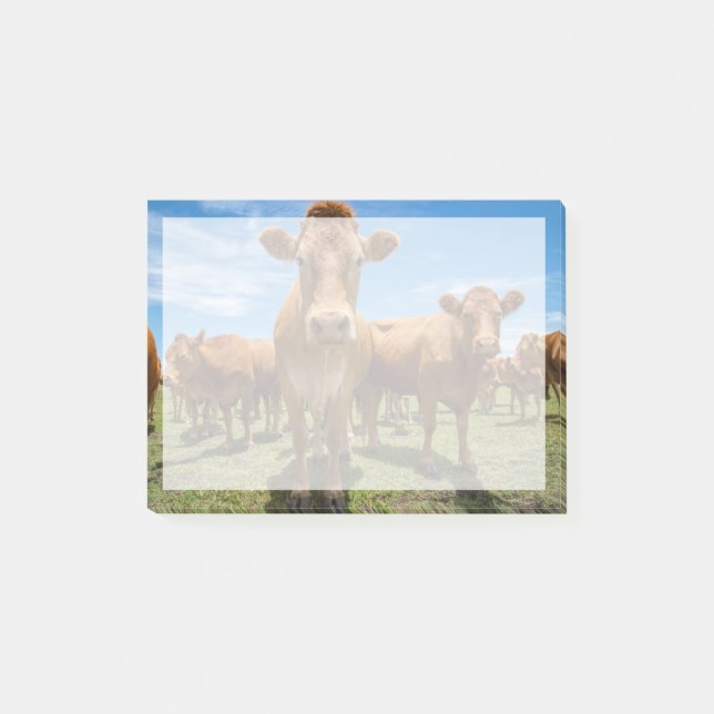 Betriebe | Brown Cow Group Post-it Klebezettel (Vorderseite)