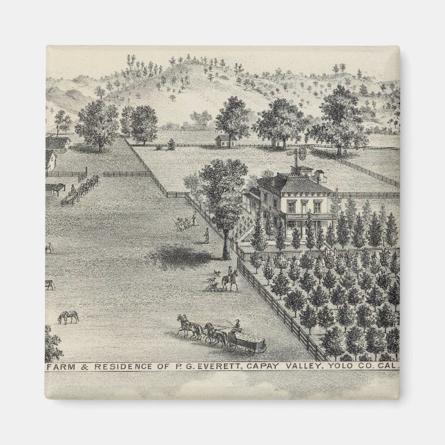 Betriebe, Capay Valley, Madison Magnet (Vorne)
