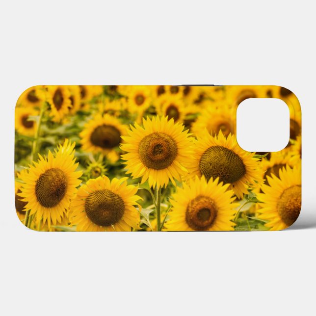 Betriebe | Ein Sonnenblumenfeld Case-Mate iPhone Hülle (Rückseite (Horizontal))