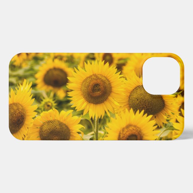 Betriebe | Ein Sonnenblumenfeld iPhone Hülle (Rückseite (Horizontal))