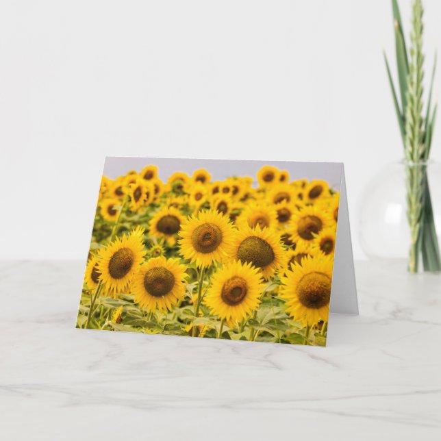 Betriebe | Ein Sonnenblumenfeld Karte (Vorderseite)