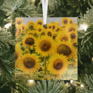 Betriebe Ein Sonnenblumenfeld Ornament Aus Glas