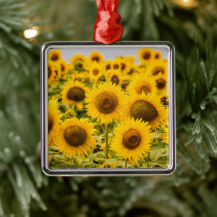 Betriebe   Ein Sonnenblumenfeld Ornament Aus Metall