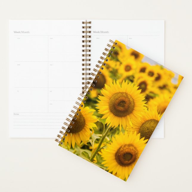 Betriebe | Ein Sonnenblumenfeld Planer (Anzeige)