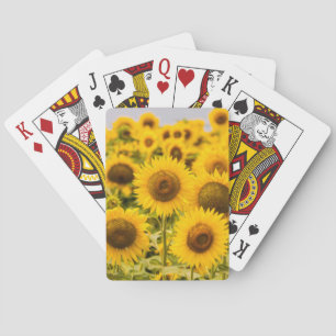 Betriebe Ein Sonnenblumenfeld Spielkarten