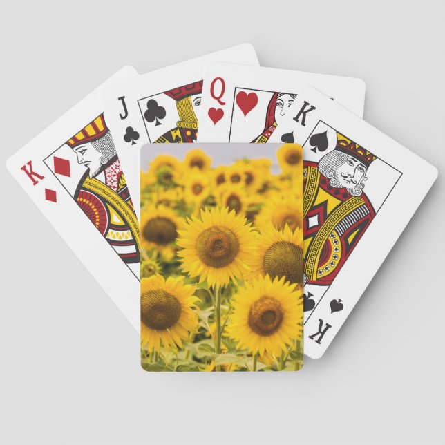 Betriebe | Ein Sonnenblumenfeld Spielkarten (Rückseite)