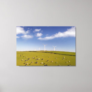 Betriebe   Kühe in der Nähe der Windmühle Leinwanddruck