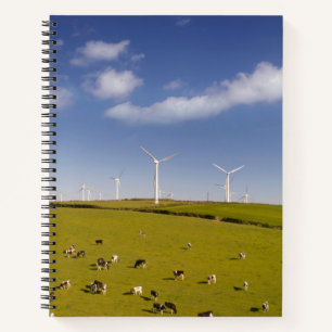 Betriebe Kühe in der Nähe der Windmühle Notizbuch