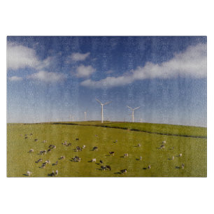 Betriebe Kühe in der Nähe der Windmühle Schneidebrett