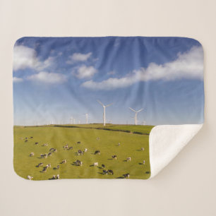 Betriebe Kühe in der Nähe der Windmühle Sherpadecke