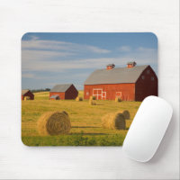 Betriebe | Red Barns Near Hay Bales
