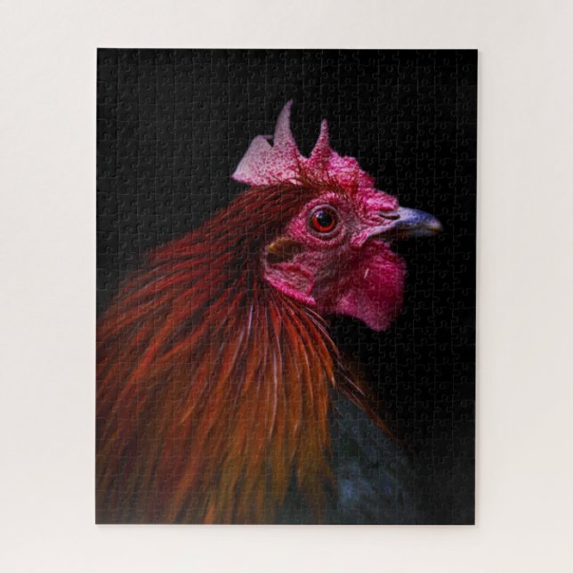 Betriebe | Rooster Head Shoot (Vertikal)