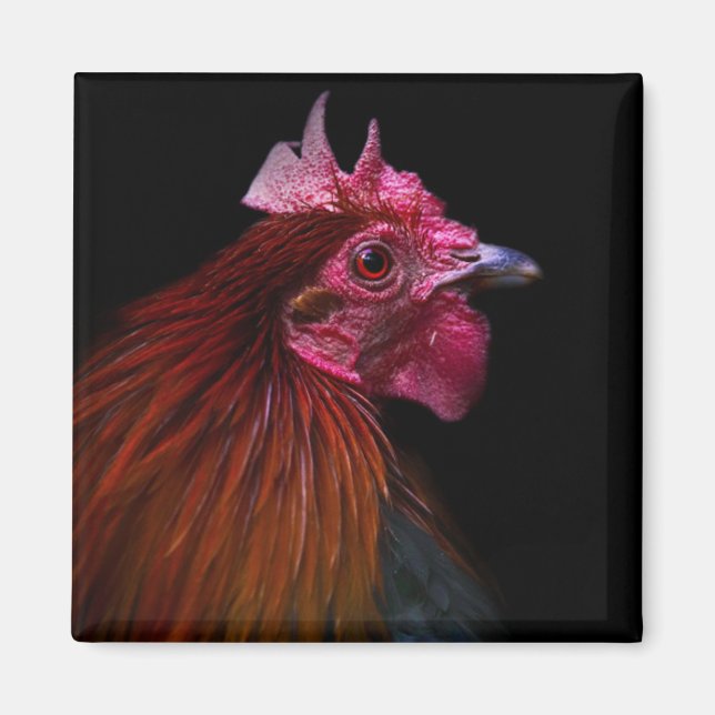 Betriebe | Rooster Head Shoot Magnet (Vorne)