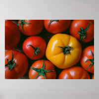 Betriebe | Rote und gelbe Tomaten/Paradeiser