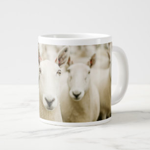 Betriebe   Schafherde Jumbo-Tasse