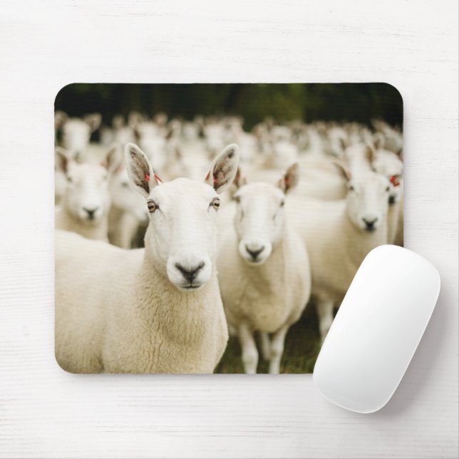 Betriebe | Schafherde Mousepad (Mit Mouse)