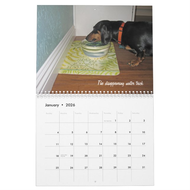 Betrügt Dackel-Hund 2012 Kalender (Jan 2026)