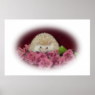 Bett des Rosen-Igels Poster