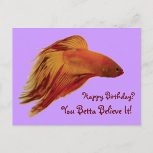 Betta - Carte postale Anniversaire