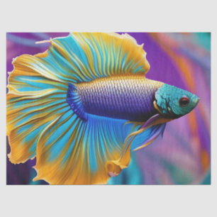 Betta Fisch, blaues Gold lila Seidenpapier