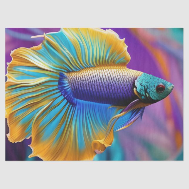 Betta Fisch, blaues Gold lila Seidenpapier (Vorderseite)