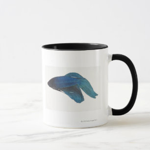 Betta Fische oder männliche blaue siamesische Tasse
