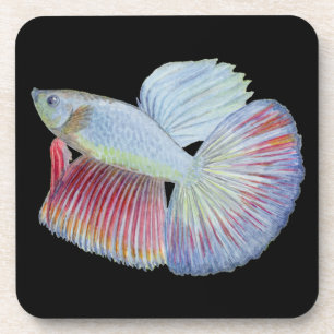 Betta Fish Beverage Coaster Getränkeuntersetzer