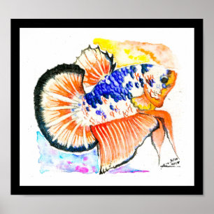 Betta Fish Fancy Candy Aquarelle Poster