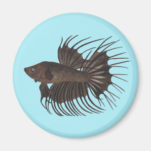 Betta Fish Magnet
