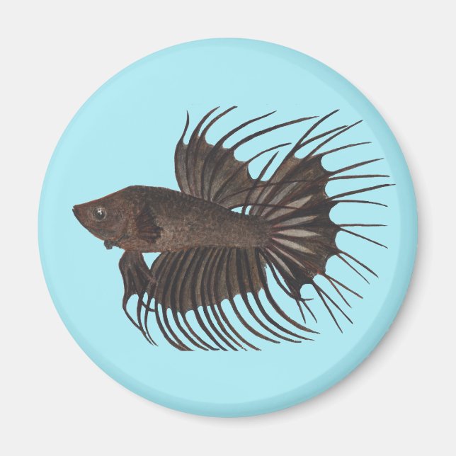 Betta Fish Magnet (Vorne)