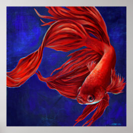 Betta Fish Painting Print Poster