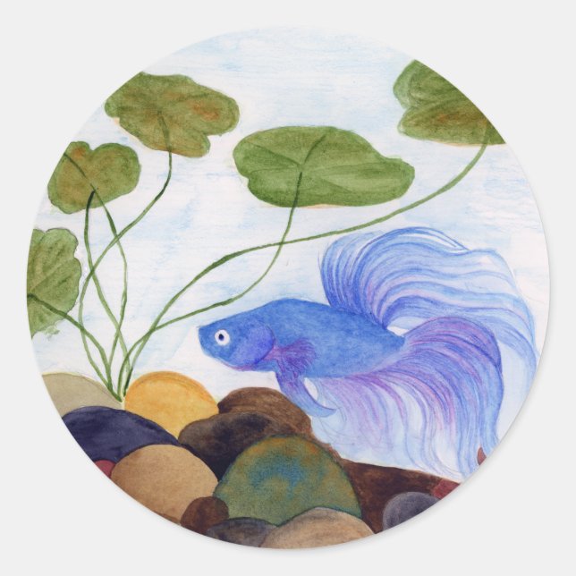 Betta Fish Runder Aufkleber (Vorderseite)