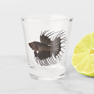Betta Fish Shot Glass Schnapsglas