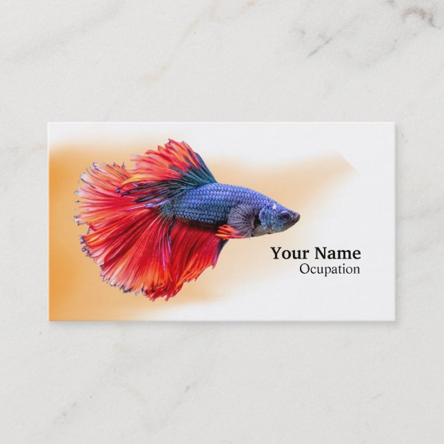 Betta Fish Visitenkarte (Vorderseite)