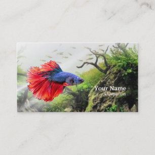 Betta Fish Visitenkarte