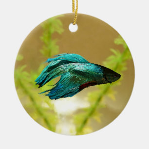 Betta ist besser ursprünglich keramik ornament