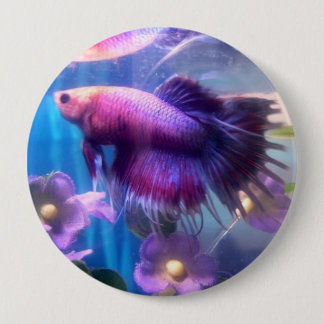 Betta Knopf Button