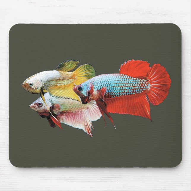 Betta Mousepad (Vorne)