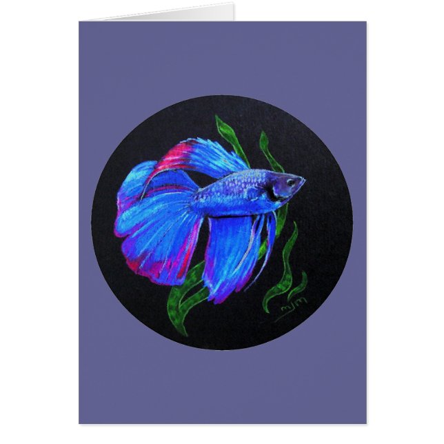BETTA!!! Siamesische kämpfende Fische (Vorne)