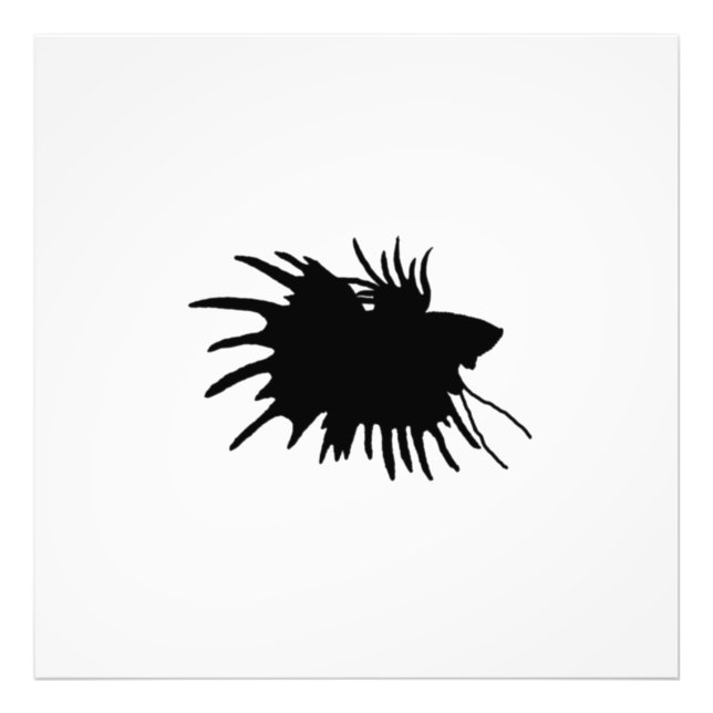 Betta Silhouette Liebe Siam Bekämpfen Fisch Fotodruck (Vorne)