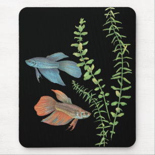 Betta splendens und Rotala indica Schwarz Mousepad