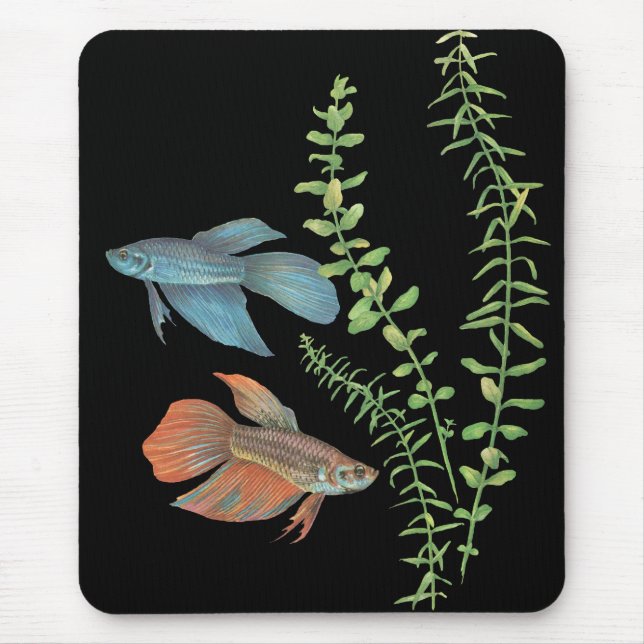 Betta splendens und Rotala indica Schwarz Mousepad (Vorne)
