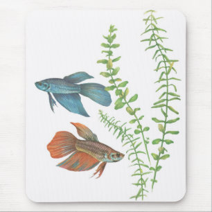 Betta splendens und Rotala Indica Weiß Mousepad