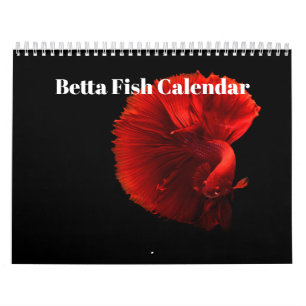 Bettafisch 2025 kalender
