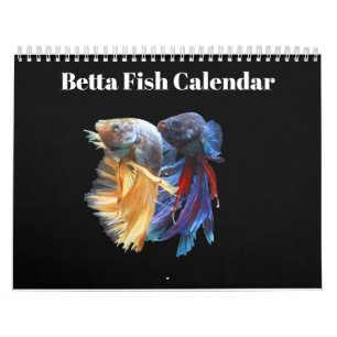Bettafish-Kalender 2025 Kalender
