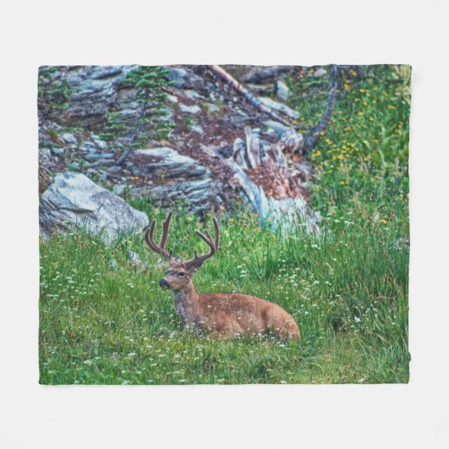 Bettbuck Fleecedecke (Vorderseite (Horizontal))