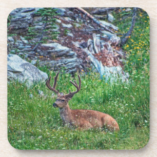 Bettbuck Getränkeuntersetzer