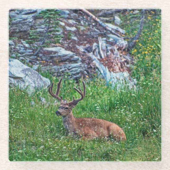 Bettbuck Glasuntersetzer (Vorderseite)