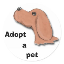 Betteln, Adoptier, a, Haustier