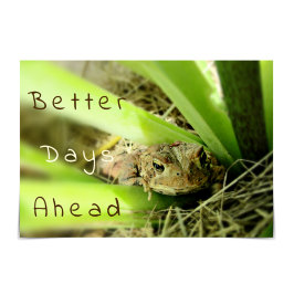"Better Days Ahead" nachdenklicher Toad Karte